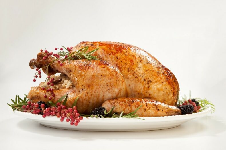 Unraveling Misconceptions About Turkey: The Celebrated Holiday Bird