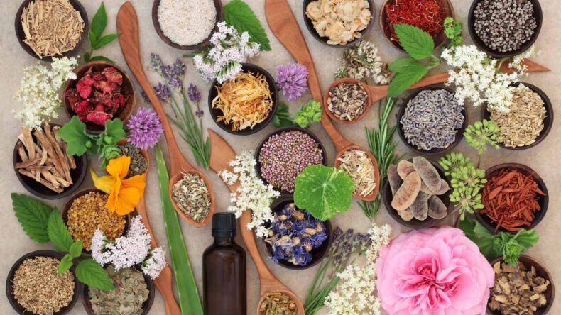 Examples Of Alternative Medicine Includes