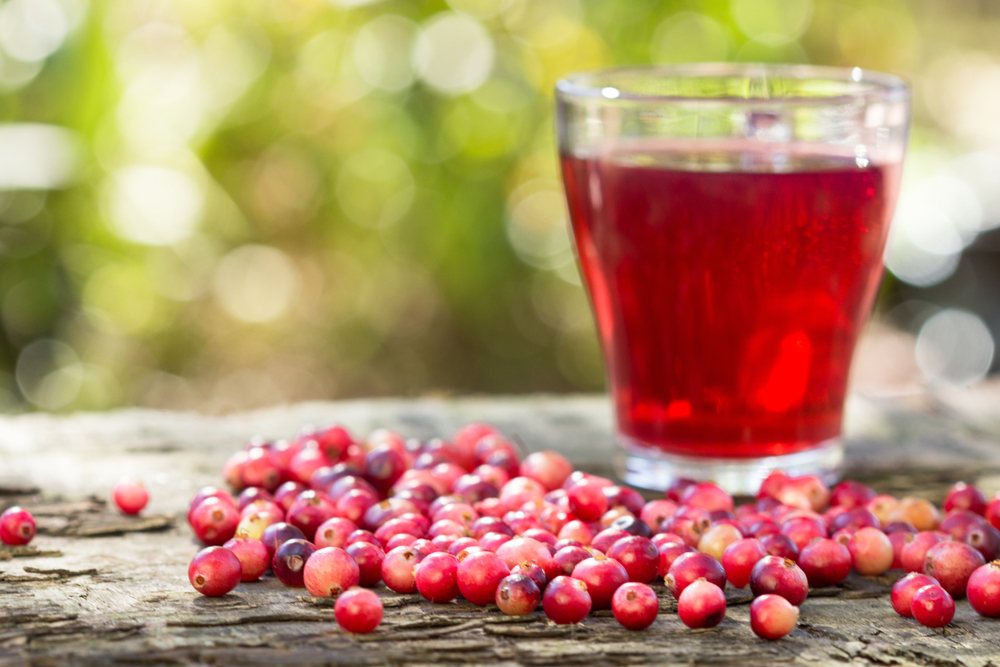 How Cranberries Can Prevent Urinary Tract Infections