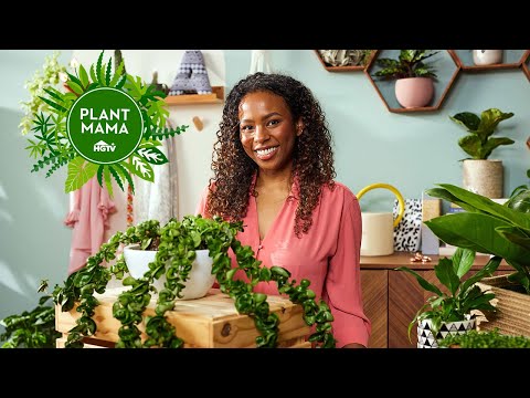 The Mental Health and Wellness Benefits of Plants | Plant Mama