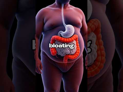 5 Foods To Help Stop Bloating #health #wellness #diet #nutrition #bloating #bloatingrelief #debloat