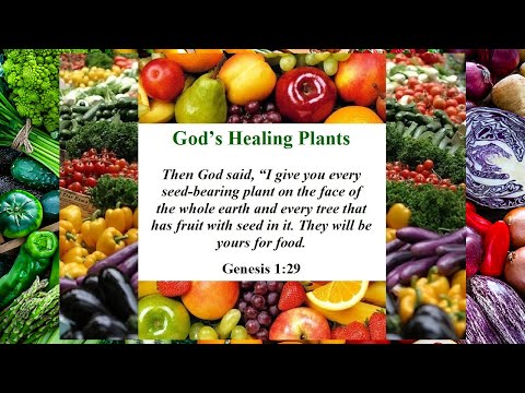 The Minister Of Wellness Biblical Health Sermon For The Body Of Christ | THE MEDICINE FOODS OF GOD