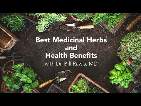 Best Medicinal Herbs and Health Benefits – Turmeric, Reishi, Japanese Knotweed, Hawthorn and Others
