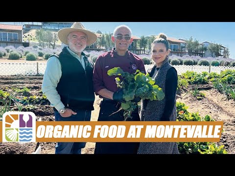 Vegetable Garden Recipes at Montevalle Health & Wellness Resort