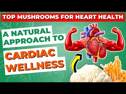 Top Mushrooms for Heart Health: A Natural Approach to Cardiac Wellness
