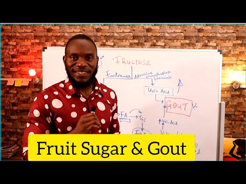 Fructose And Gout Relationship. Fruits Caused Me Gout