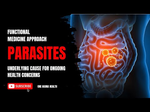 The Functional Approach to Parasites: A Comprehensive Perspective on Health and Wellness