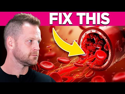 The Blood Vessel Health Secrets Big Pharma Doesn’t Want You to Know