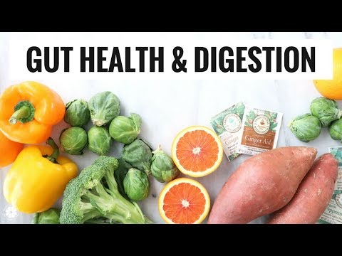 Foods For Gut Health & Digestion | Nutrition & Wellness | Healthy Grocery Girl