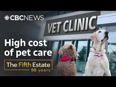 Inside the corporate battle over your pet’s health | The Fifth Estate