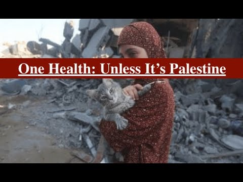 One Health: The Environment, Human Wellness and Hypocrisy of the Veterinarian Community Over Gaza