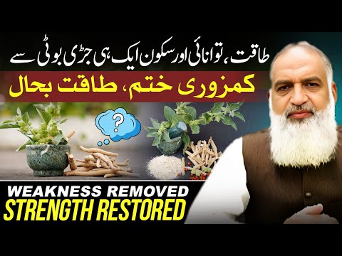 Natural Remedy for Weakness, Fatigue & Depression | Ashwagandha – The Herb That Can Change Your Life