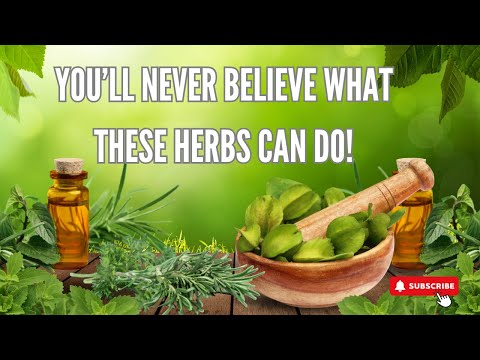 10 Healing Herbs You Need to Know About!