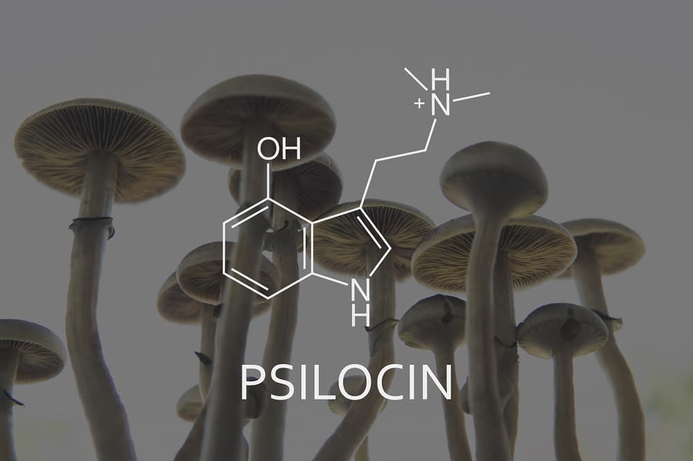The Healing Power of Psilocybin: Transforming Mental Health